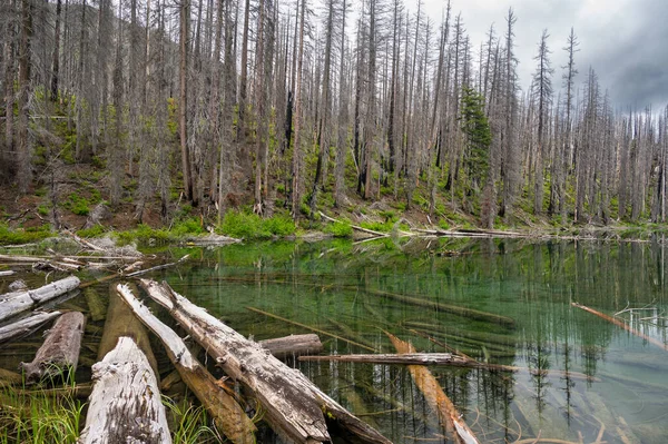 Blaues Klares Wasser Eines Alpensees Mit Verbrannten Bäumen — Stockfoto