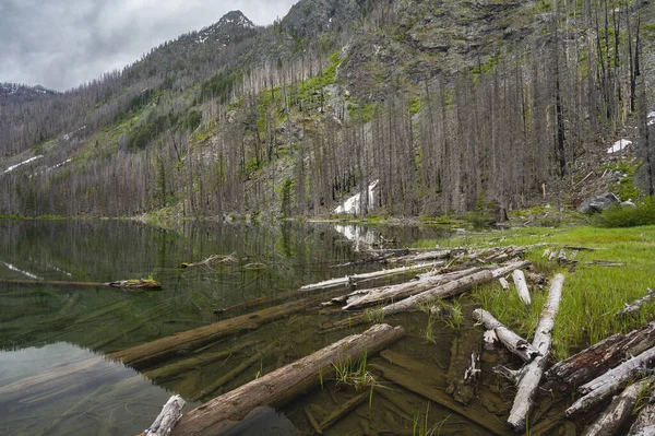 整个河谷的高山湖被枯死的烧毁的树木包围着 — 图库照片
