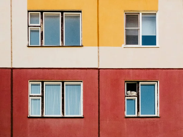 Gato Sentado Una Ventana Colorido Edificio —  Fotos de Stock