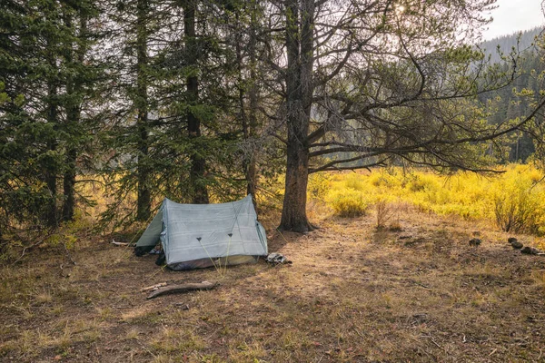 Zelten Der Adlernest Wildnis Colorado — Stockfoto