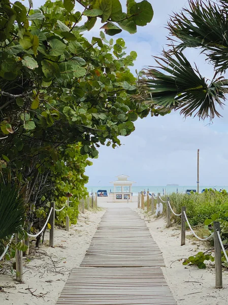 Planks Vezet Beach Cabin Által Körbevett Vegetáció Miami Beach — Stock Fotó