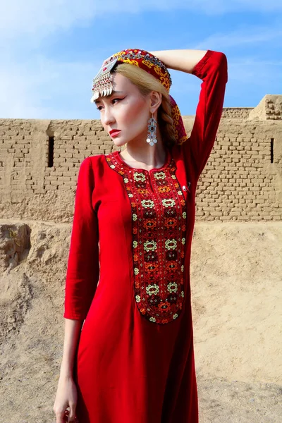 中央アジアのバラ — ストック写真