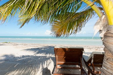 Holbox Adası, Meksika 'da güneşli ve tropikal palmiyeli bir plaj manzarası