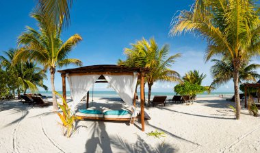 Meksika 'daki Holbox Adası' ndaki beyaz kumsalda çardağı, şezlongları ve tropikal palmiyeleri olan panoramik bir sahil manzarası