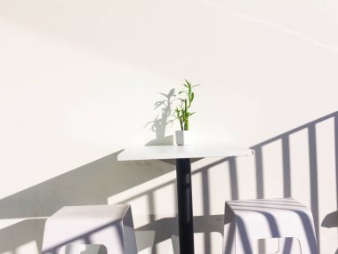 Beyaz duvar arkaplanı üzerinde yeşil bitkilerin yakın görüntüsü