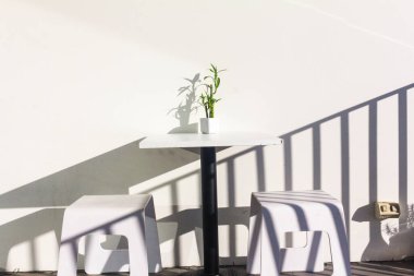 Beyaz duvar arkaplanı üzerinde yeşil bitkilerin yakın görüntüsü