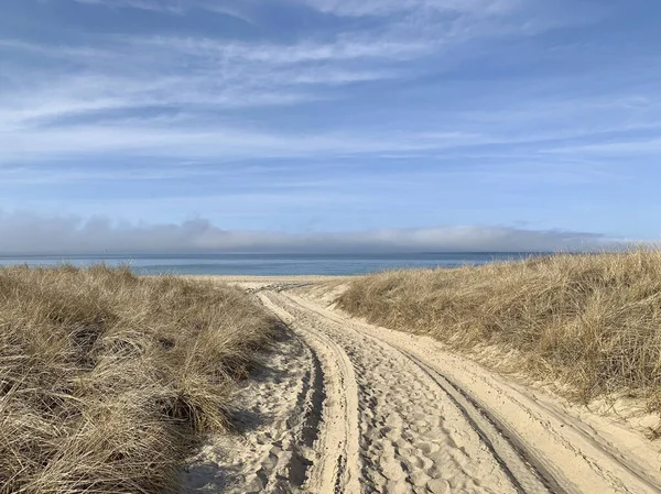 Ślady Opon Piasku Prowadzące Plaży Słoneczny Dzień Montauk — Zdjęcie stockowe