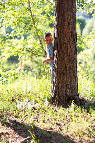 Garçon Regarde Derrière Arbre Cache Joue Cache Cache — Photo