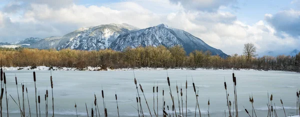 North Bend Washington Inverno Paisagem — Fotografia de Stock