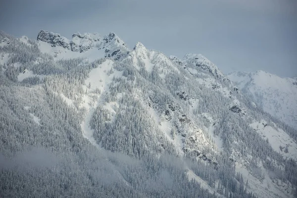 Karlı Dağ Güzel Sanat Manzarası Washington — Stok fotoğraf
