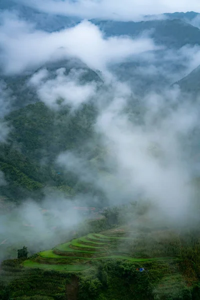 Terrasses Riz Sapa Vietnam — Photo