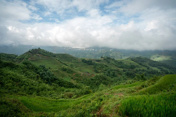 Rice Teraszok Sapa Vietnam — Stock Fotó