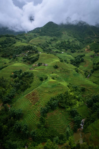Terrasses Riz Sapa Vietnam — Photo