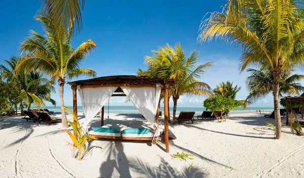 Panoramablick Auf Einen Strand Mit Pavillon Liegestühlen Und Tropischen Palmen — Stockfoto