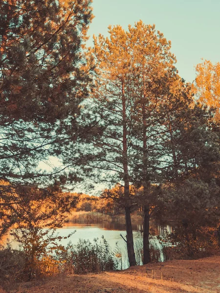 Vista Lago Por Trás Das Árvores Floresta Outono — Fotografia de Stock