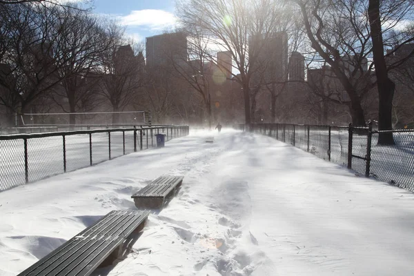 Persona Caminando Lejos Camino Cubierto Nieve Central Park — Foto de Stock