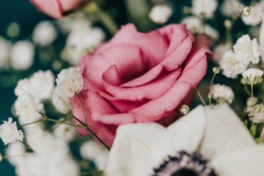 Bahar çiçeği düzenlemesini, tepe örtüsüne karşı kapat