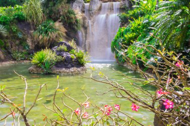 Deshaies Botanik Bahçesi, Basse-Terre kuzey batısında, Guadeloupe