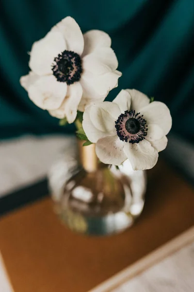 花弁を背景に蕾花瓶に花を閉じます — ストック写真