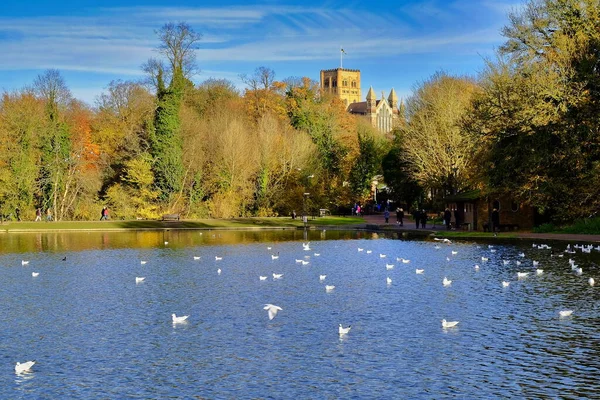 Vista Lago Ornamental Verulanium Park Albans Reino Unido Com Catedral — Fotografia de Stock