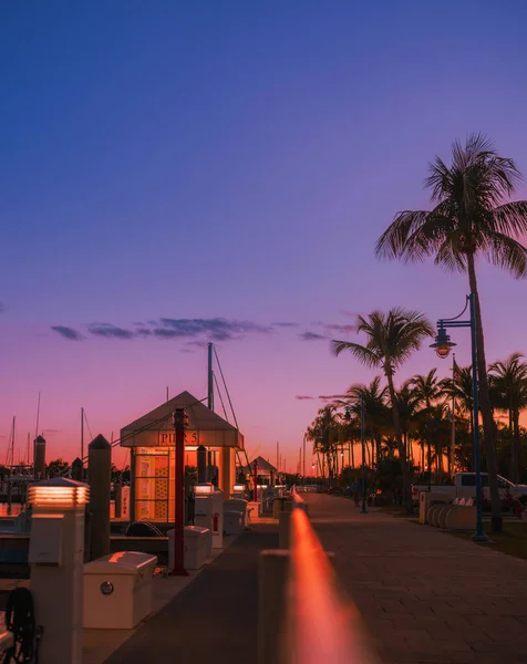 Belo Pôr Sol Marina Coco Arvoredo Miami — Fotografia de Stock