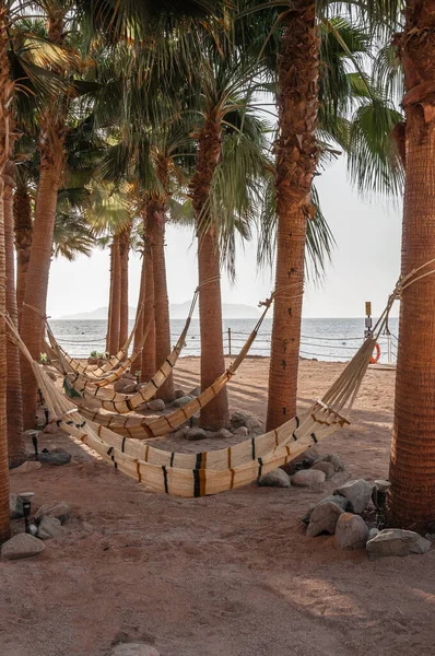 Hammocks Beach Hanging Palm Trees — Stock Photo, Image
