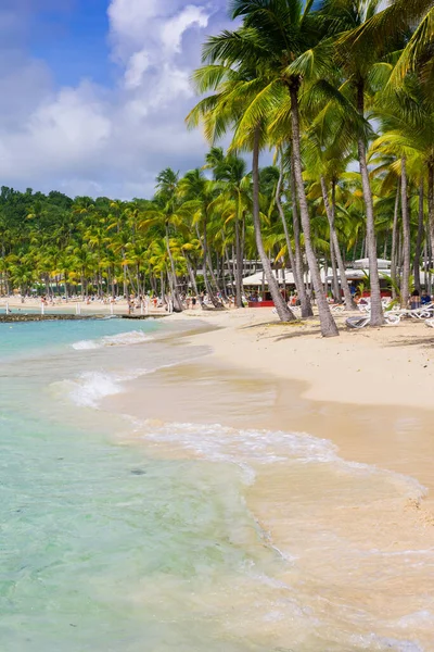 Strand Van Caravelle Bij Sainte Anne Grande Terre Guadeloupe — Stockfoto