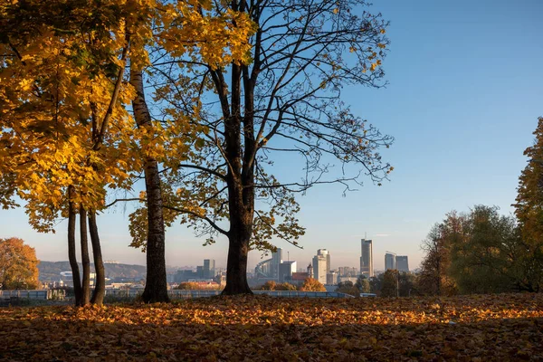 Gouden Bomen Herfst Met Stedelijke Landschap Achtergrond — Stockfoto