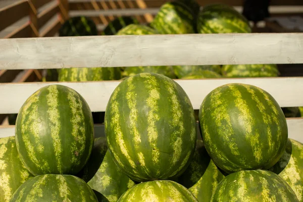 Melancias Balcão Bagas Deliciosas Comércio Rua Produtos Naturais Mercado Cidade — Fotografia de Stock