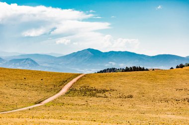 Colorado Dağlarındaki Toprak Yol