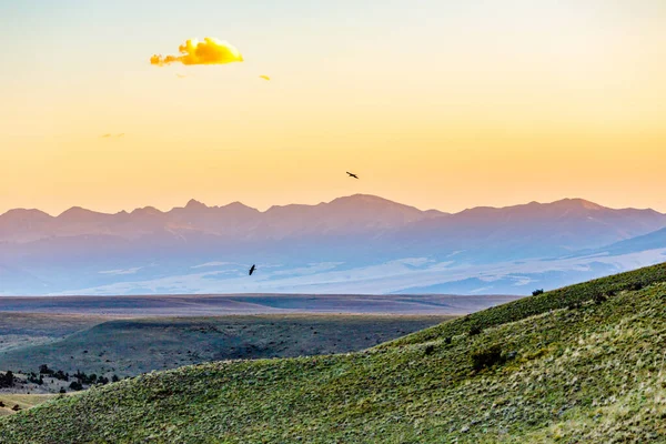 Pasmo Górskie Ptakami Niebie Zachodzie Słońca — Zdjęcie stockowe
