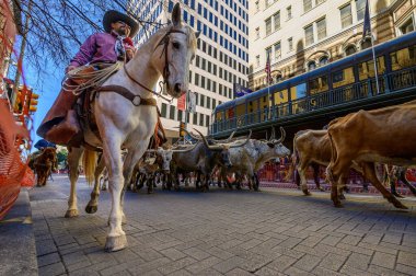 San Antonio sığır gütme güzergahı