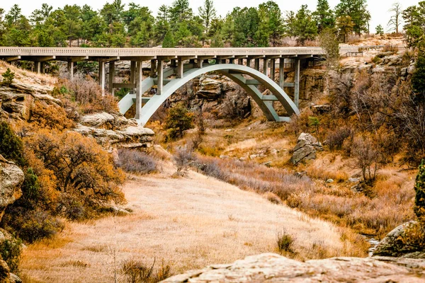 Çam Ağaçlı Kanyon Köprüsü — Stok fotoğraf