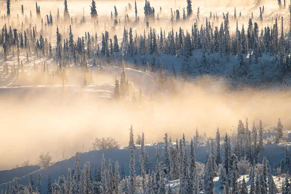 Χιονισμένο Τοπίο Ομίχλη Στην Αλάσκα — Φωτογραφία Αρχείου