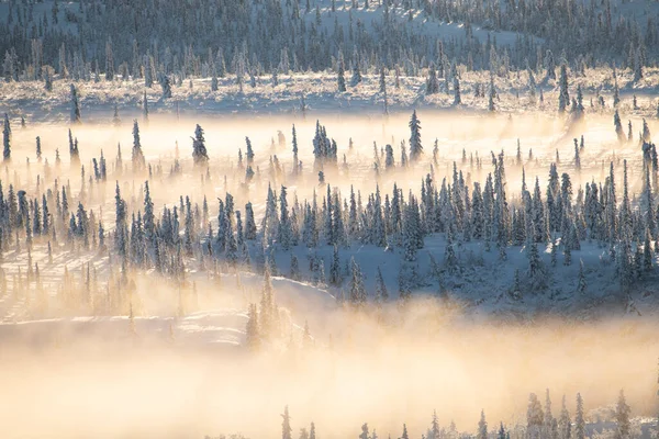 Paysage Enneigé Avec Brouillard Alaska — Photo