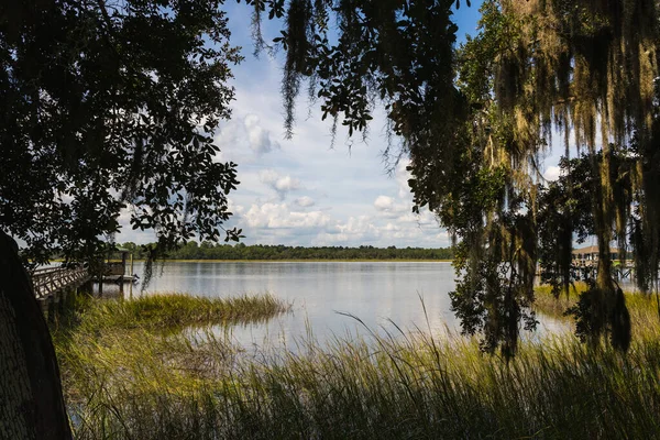 Dęby Wypełnione Hiszpańskim Mech Ramki Sceny Lowcountry — Zdjęcie stockowe