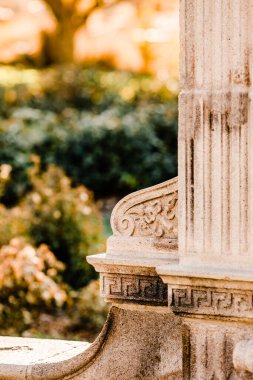 Süslü Benç 'in Yakın Fotoğraf