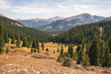 Collegiate Wilderness, Colorado 'da manzara
