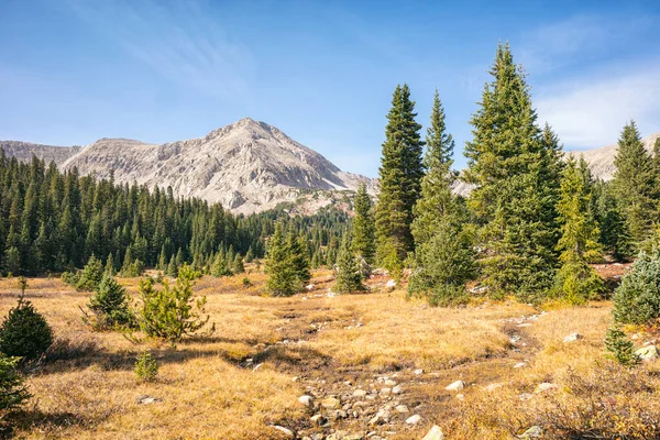 Krajobraz Collegiate Wilderness Kolorado — Zdjęcie stockowe