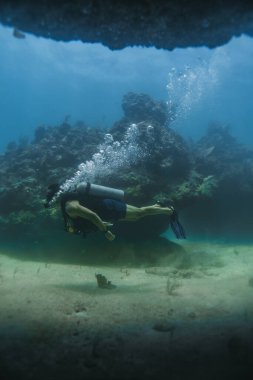 Dalgıç mercan resiflerine hayran kaldı.