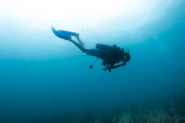 Водолазний Дайвер Карибському Морі Насолоджуючись Кораловим Рифом — стокове фото