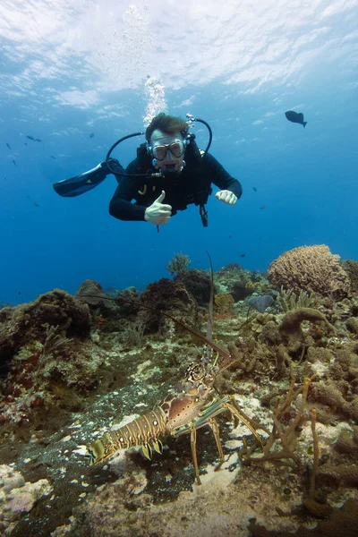 Buceador Mar Caribe Disfrutando Del Arrecife Coral Cozumel — Foto de Stock