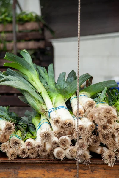 Porri Vendita Presso Outdoor Market Stall Union Square Nyc — Foto Stock