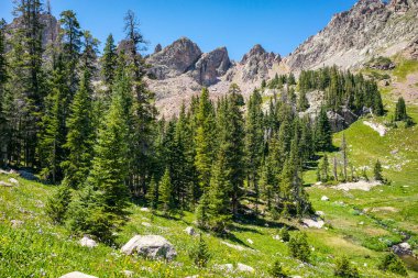 Eagles Nest Wilderness, Colorado 'da yürüyüş yaparken çekilmiş manzara fotoğrafları.