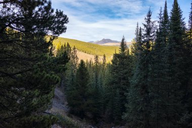 Rocky Dağları 'ndaki Heyelan Zirvesi yakınlarındaki manzara