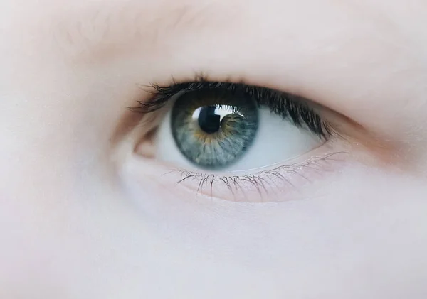 Blue Yellow Eye Eyelashes Little Boy Child Macro — Stock Photo, Image