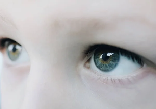 Niebieskie Ciekawe Oczy Twarz Skóra Małego Chłopca Makro Zbliżenie — Zdjęcie stockowe