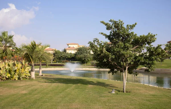 Novo Cairo Egito 2021 Prado Verde Beatiful Jardim Lago Complexo — Fotografia de Stock