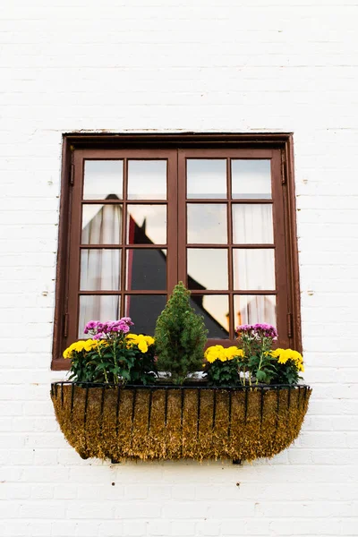 Beautiful Window Flower Planter White Brick — Stock Photo, Image