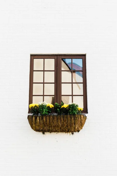 Simple Photo Window Flower Planter White Bricks — Stock Photo, Image